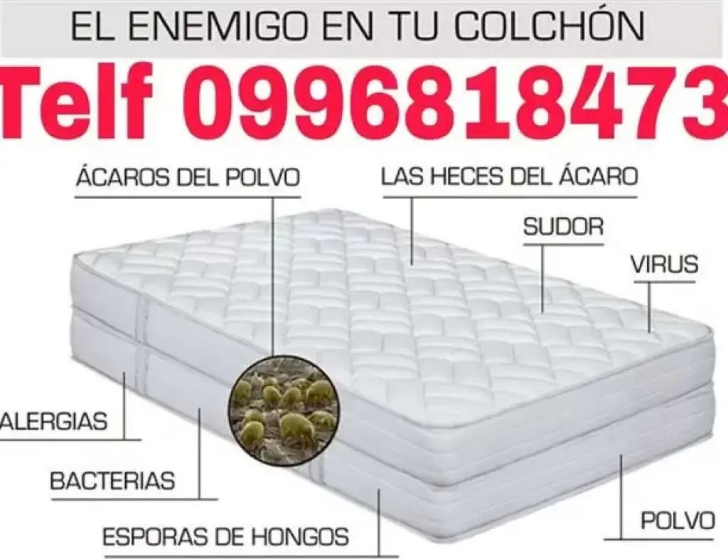 LIMPIEZA DE ASIENTOS Carcelén