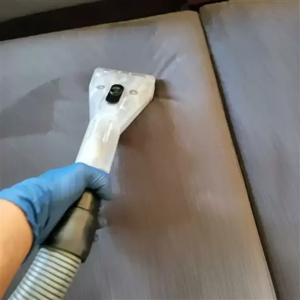 lavamos alfombra pisos y sofas