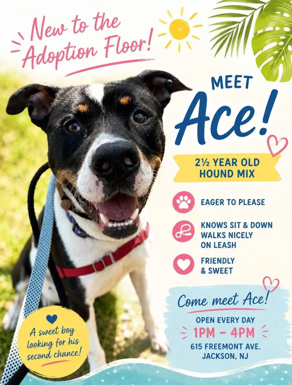 Ace