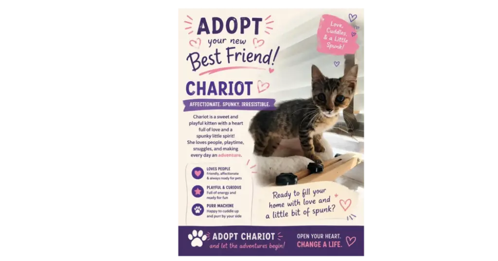Chariot
