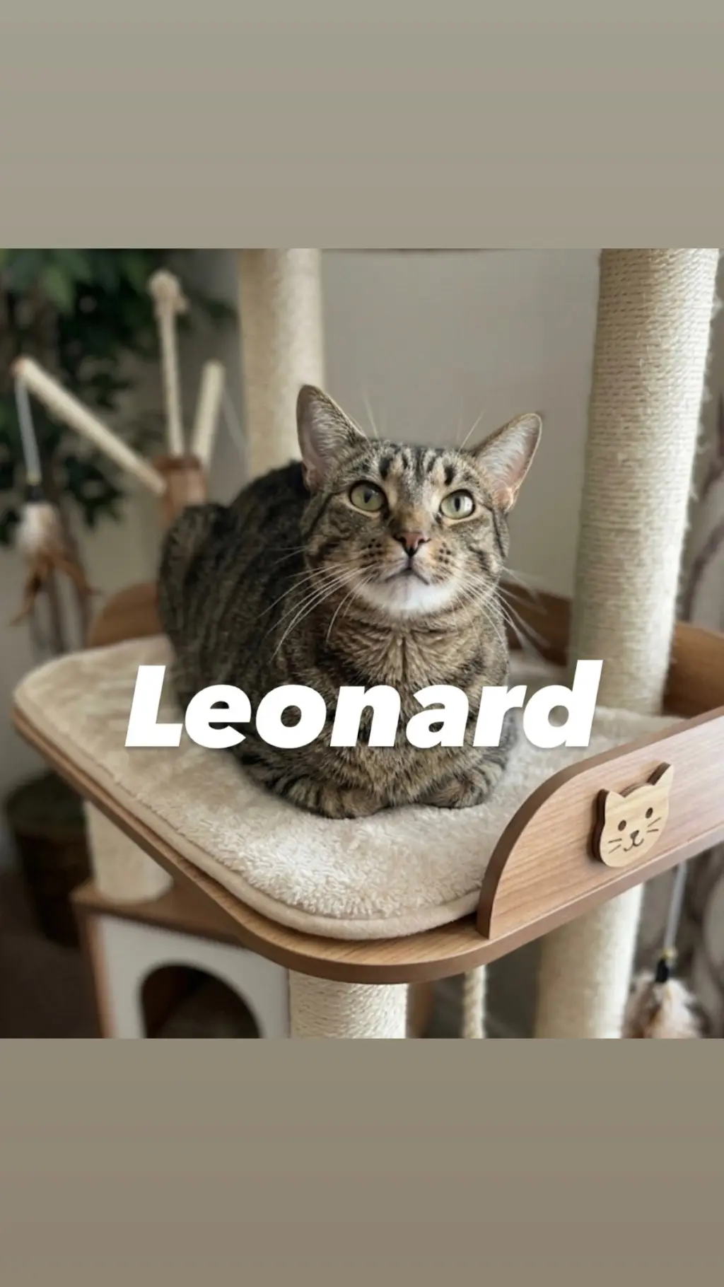 Leonard
