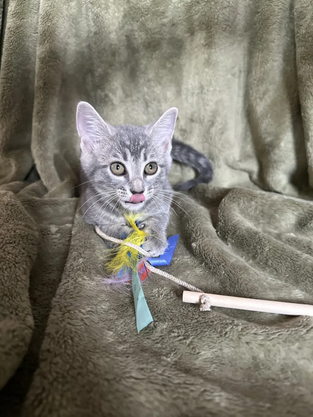 Zelda