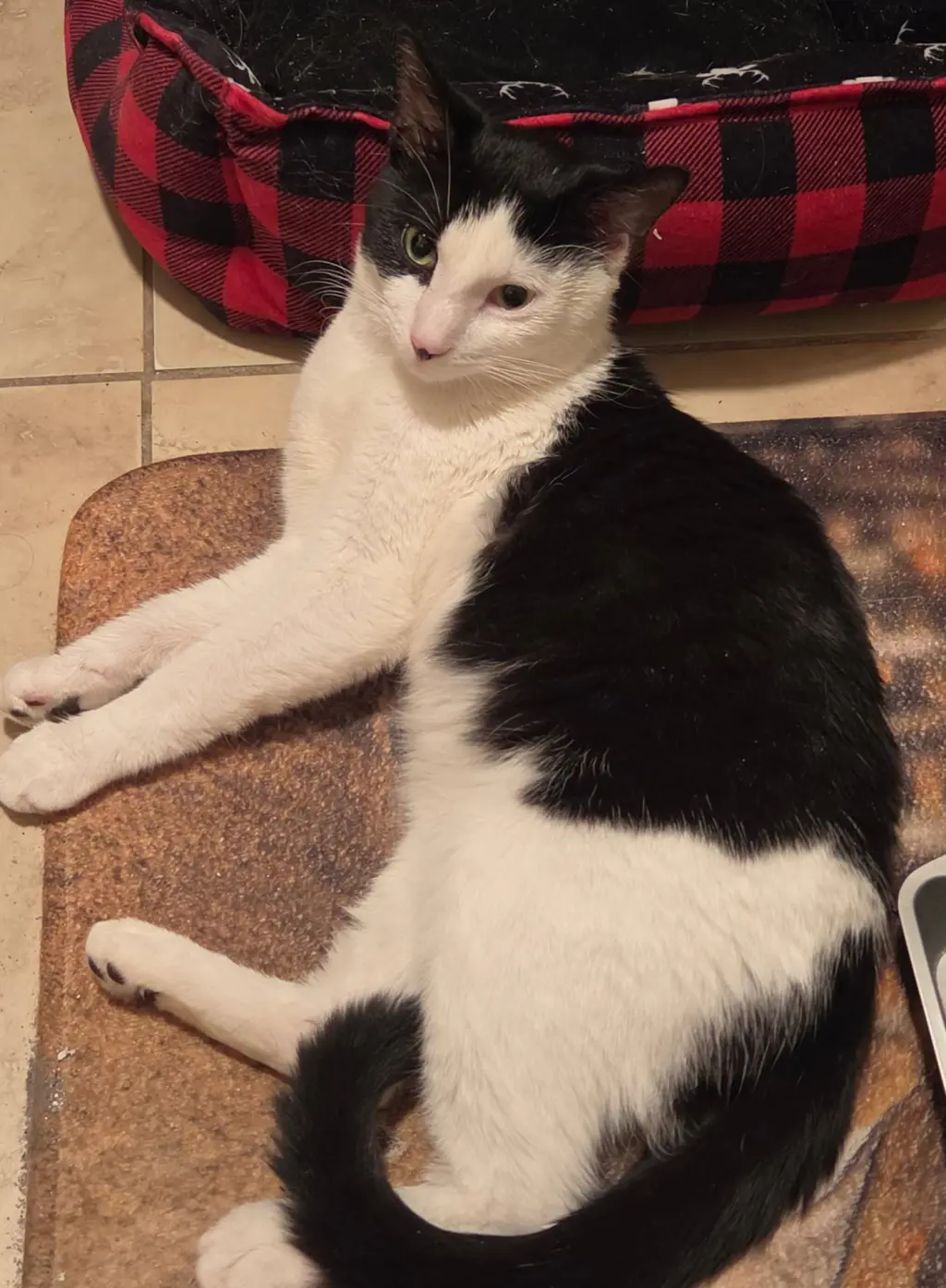 Petey