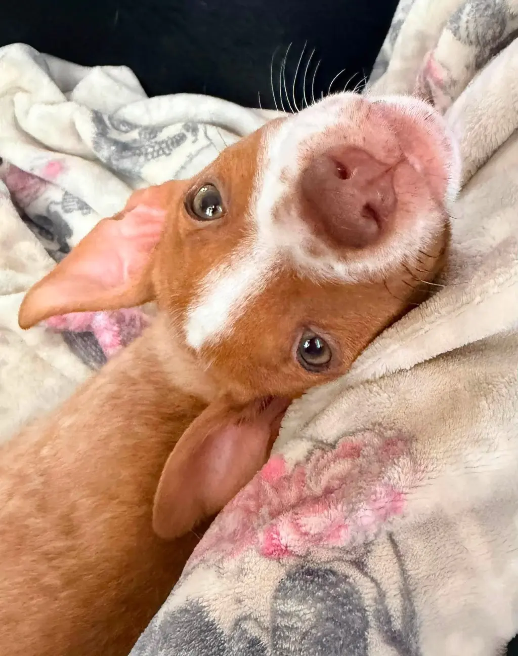 Copper