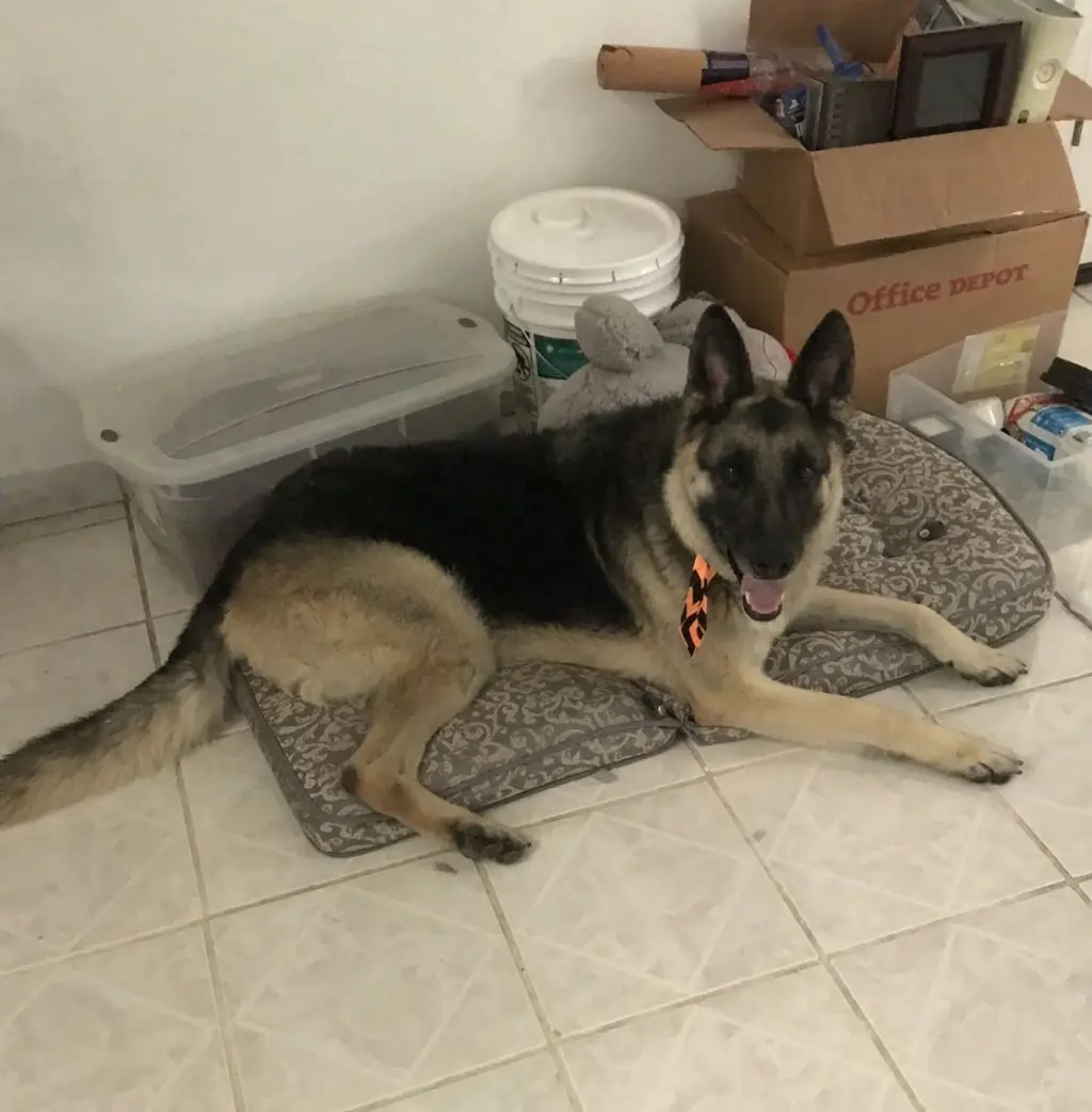 Max