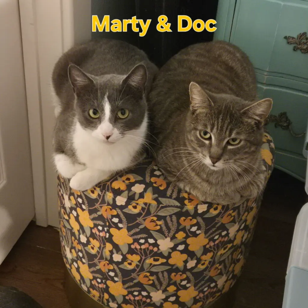 Marty & Doc (bonded pair)