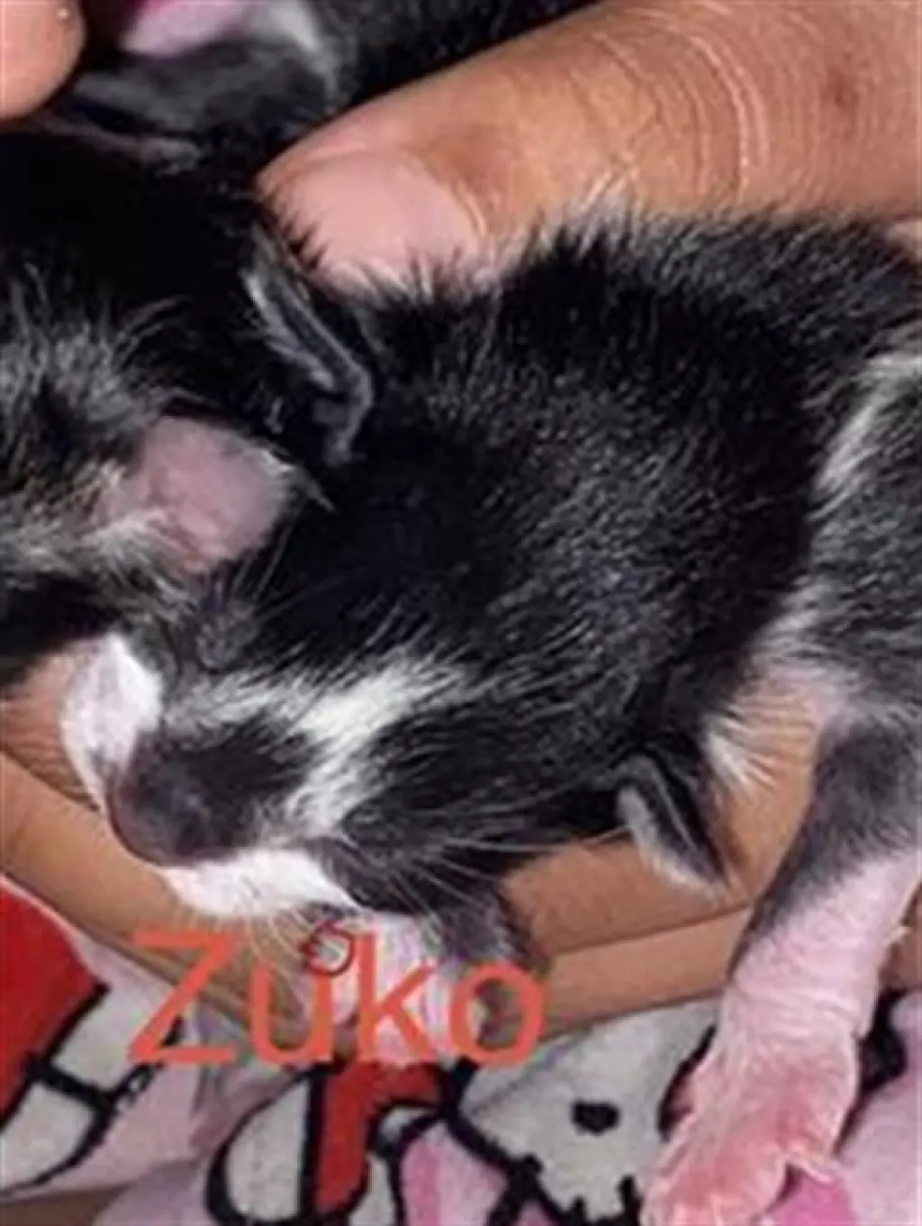 ZUKO