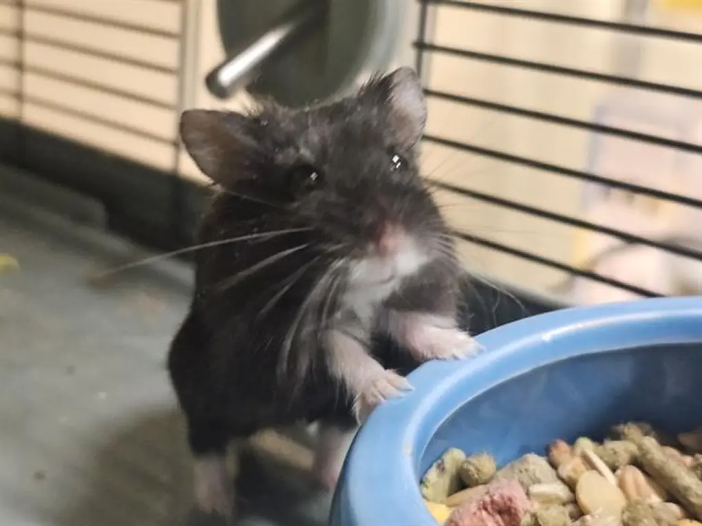 LUNA