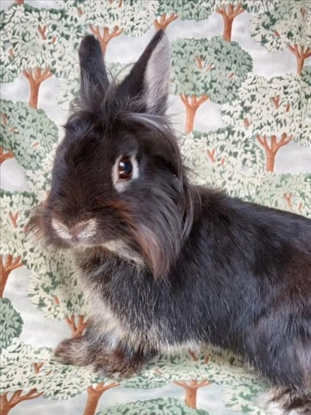 BUN MARLEY
