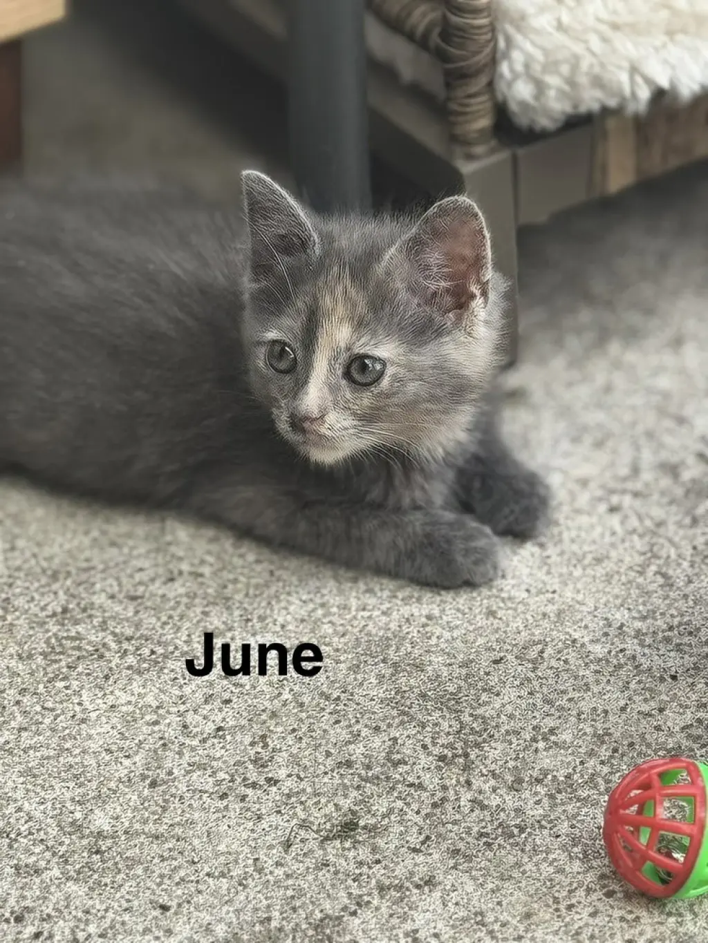 June