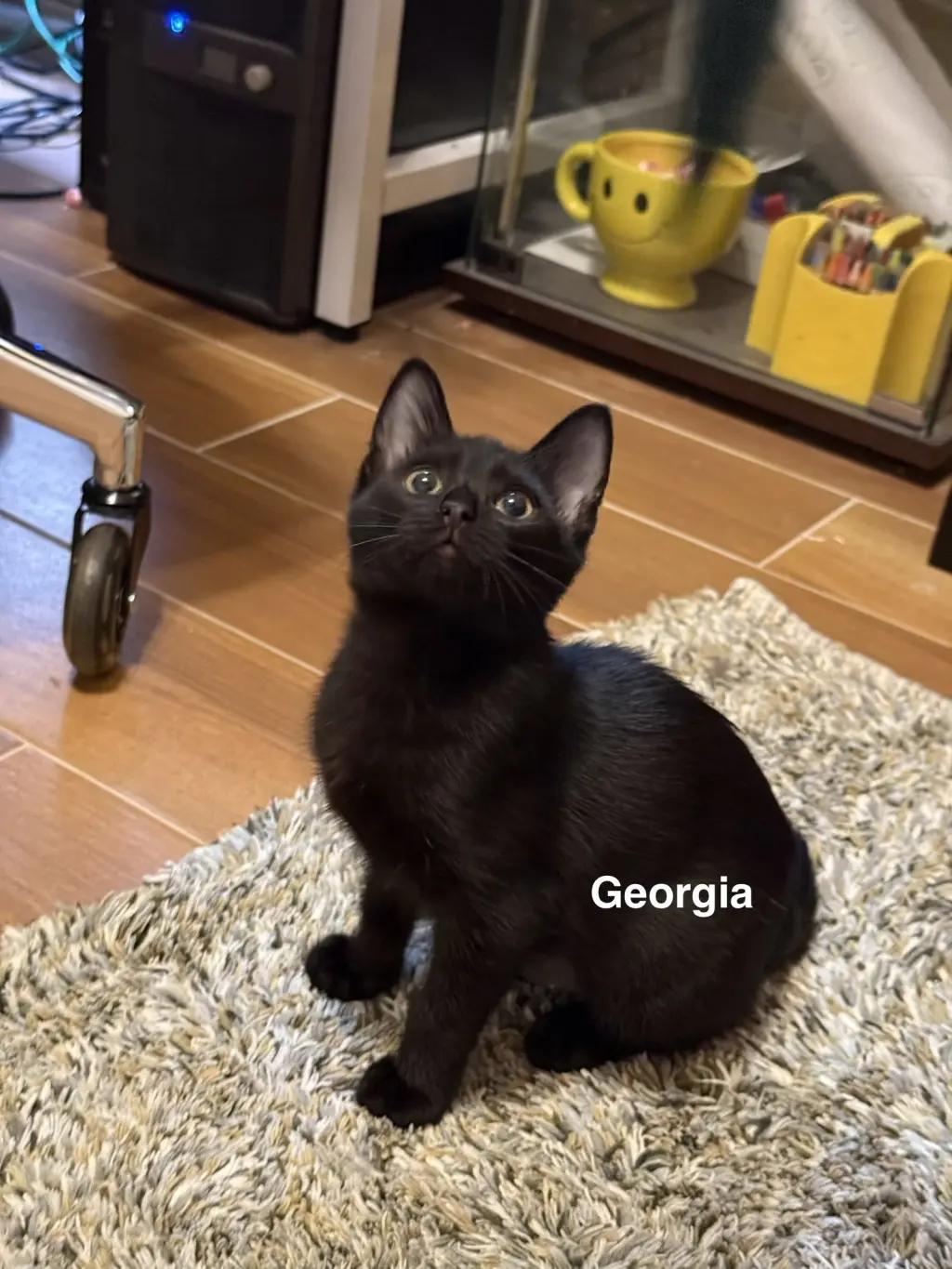 Georgia (1842)