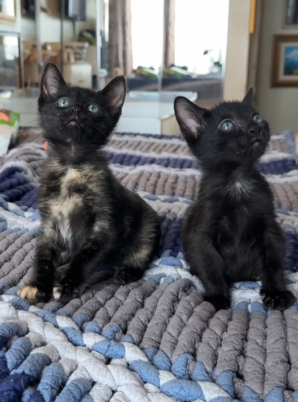 Trixie and Jujubee