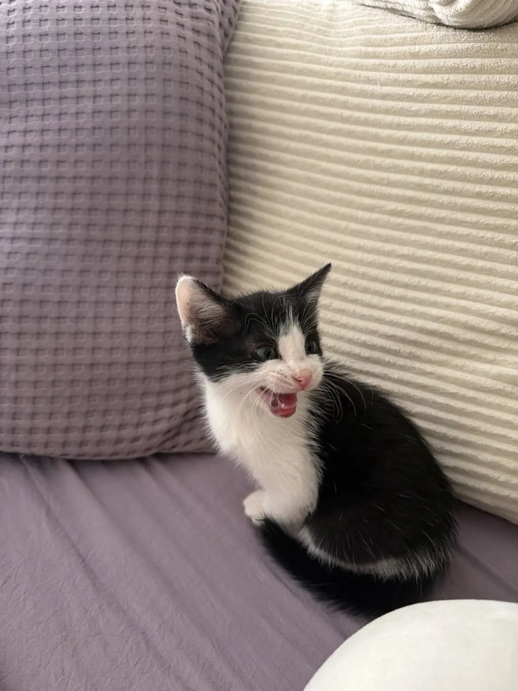 Little Richard