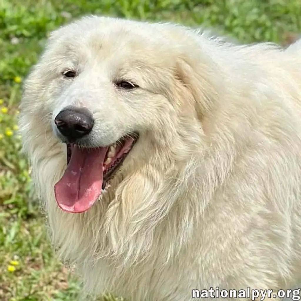CJ in AL - Outgoing, Playful & Loving!