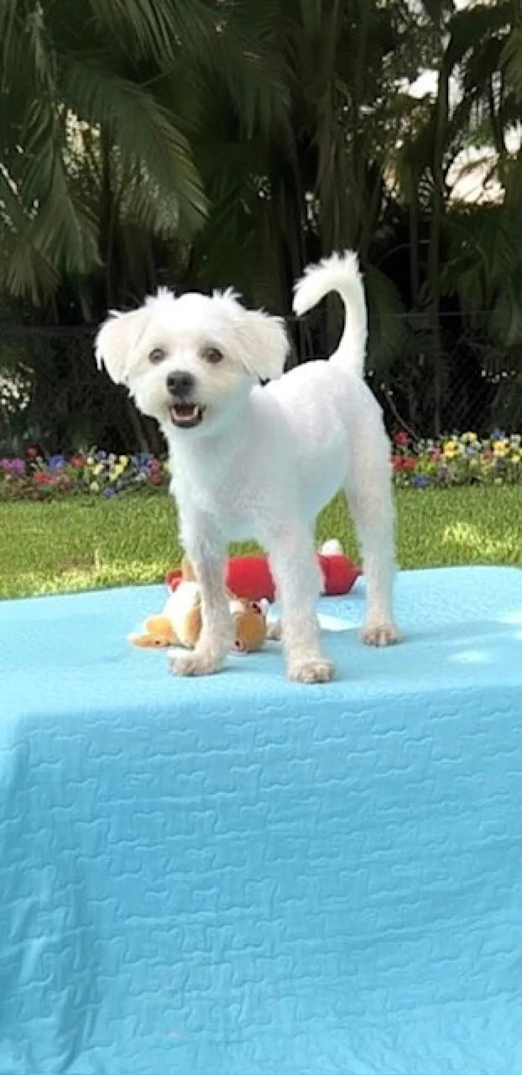 Casper