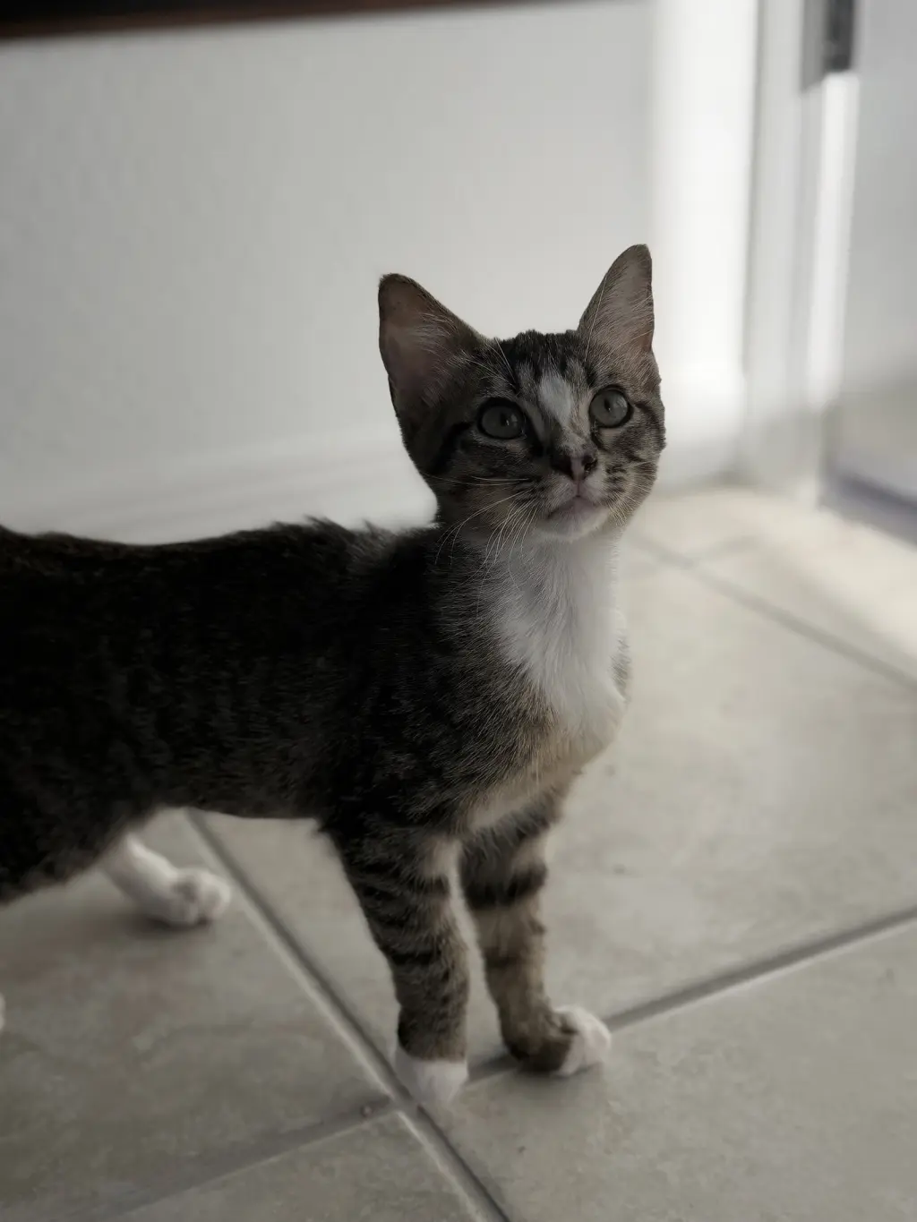 Kika