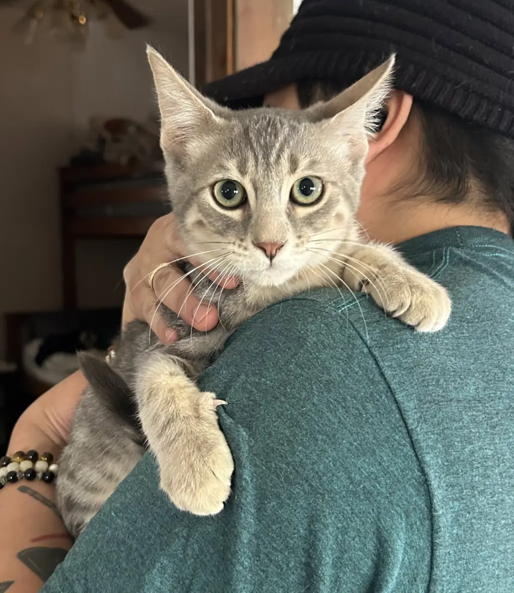 Benny