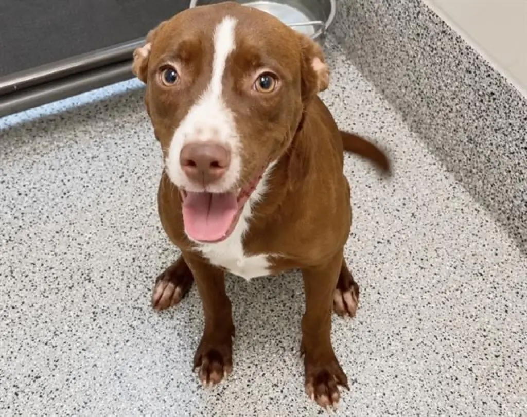 NOLA MAE