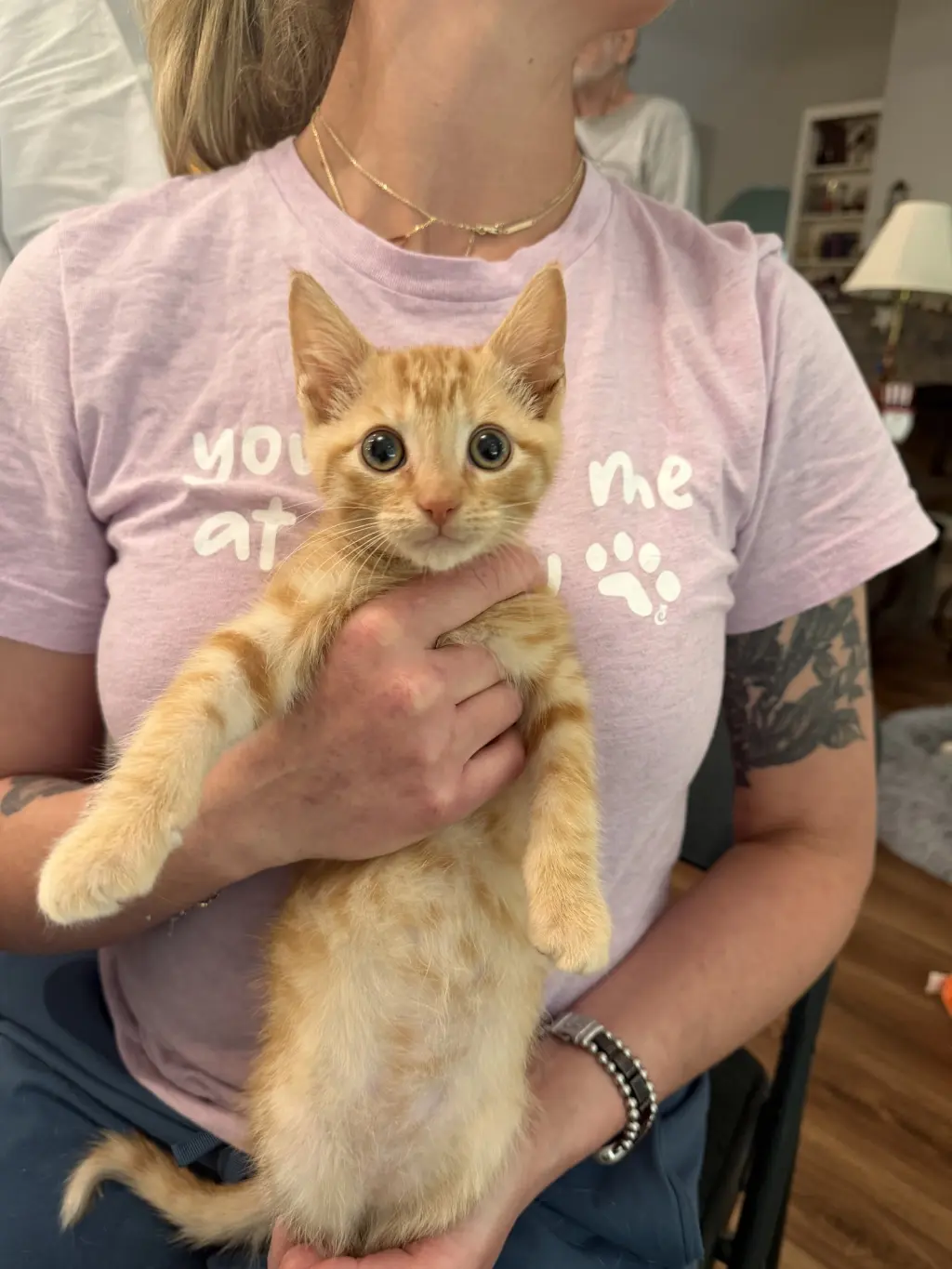 Napoleon (Available for pre-adoption)