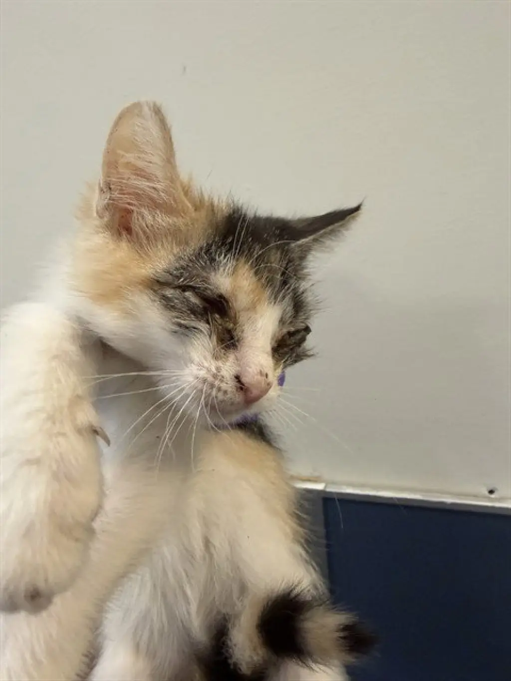 NALA