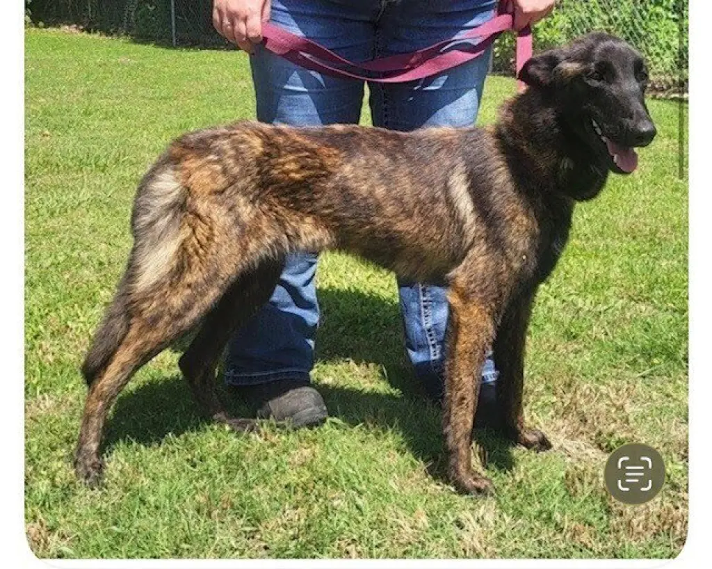 Tinkerbell Located in Tennessee