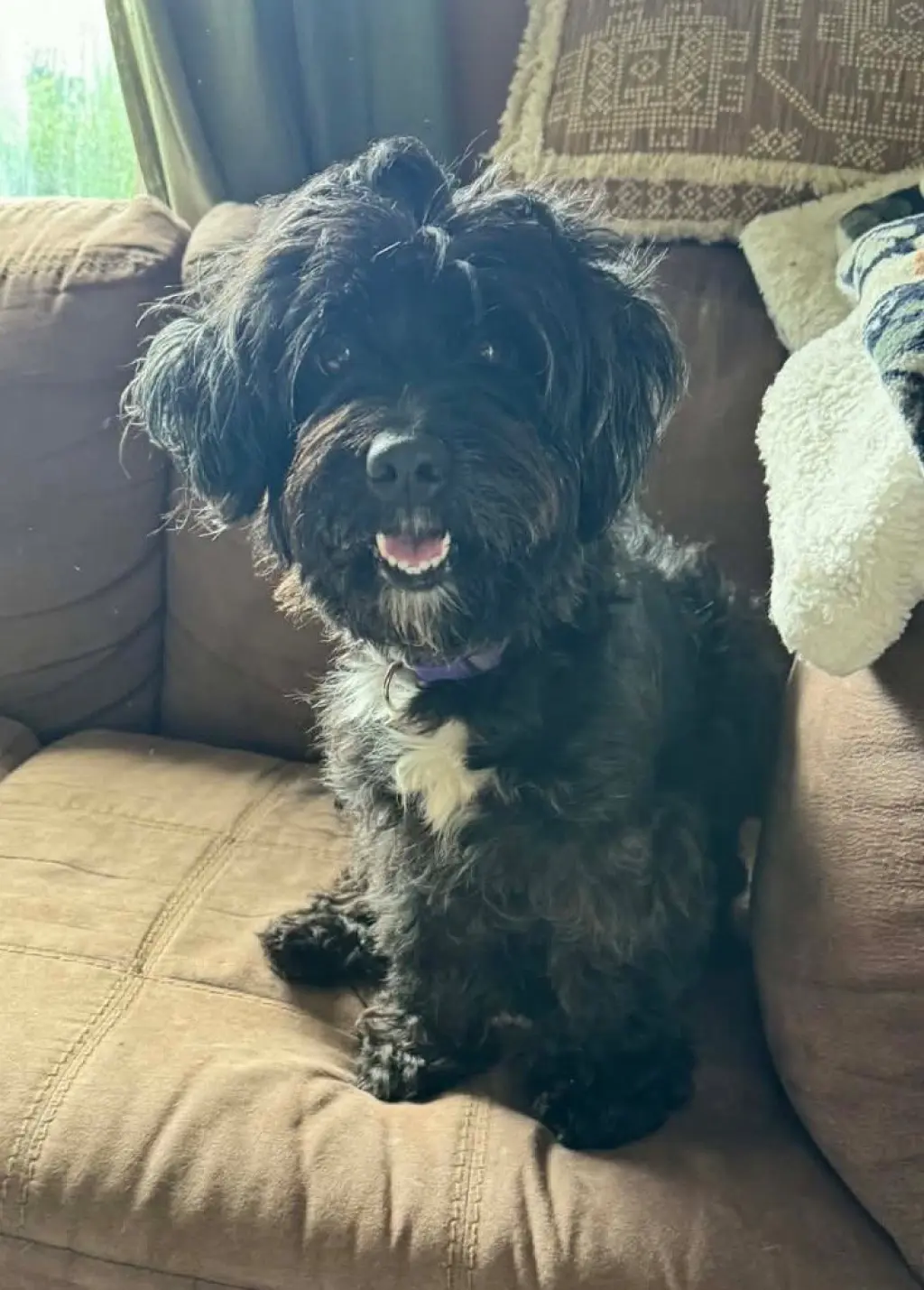 Gracie