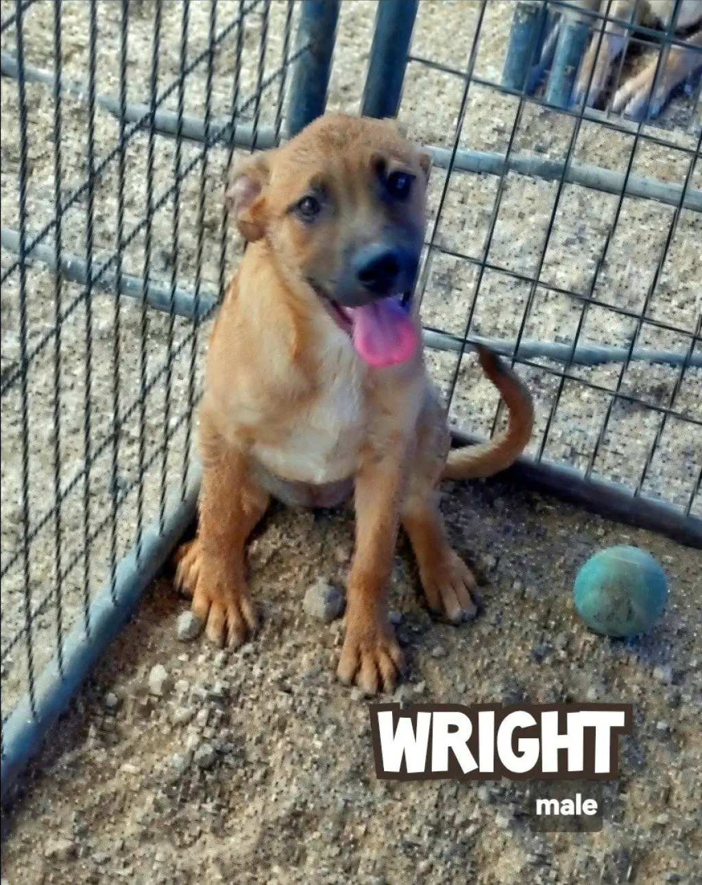 Wright
