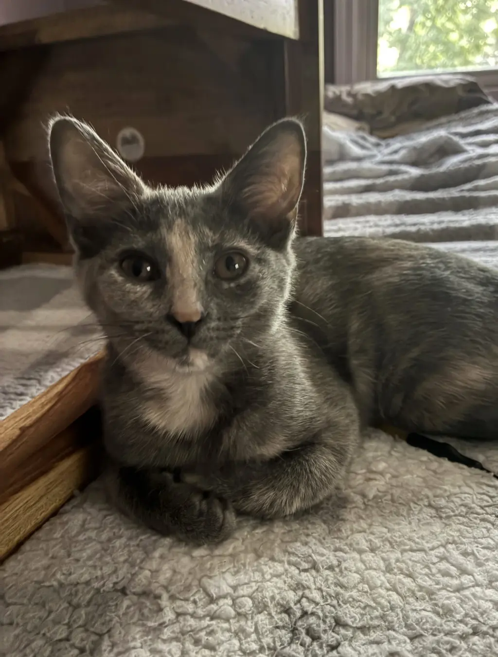 Sophie