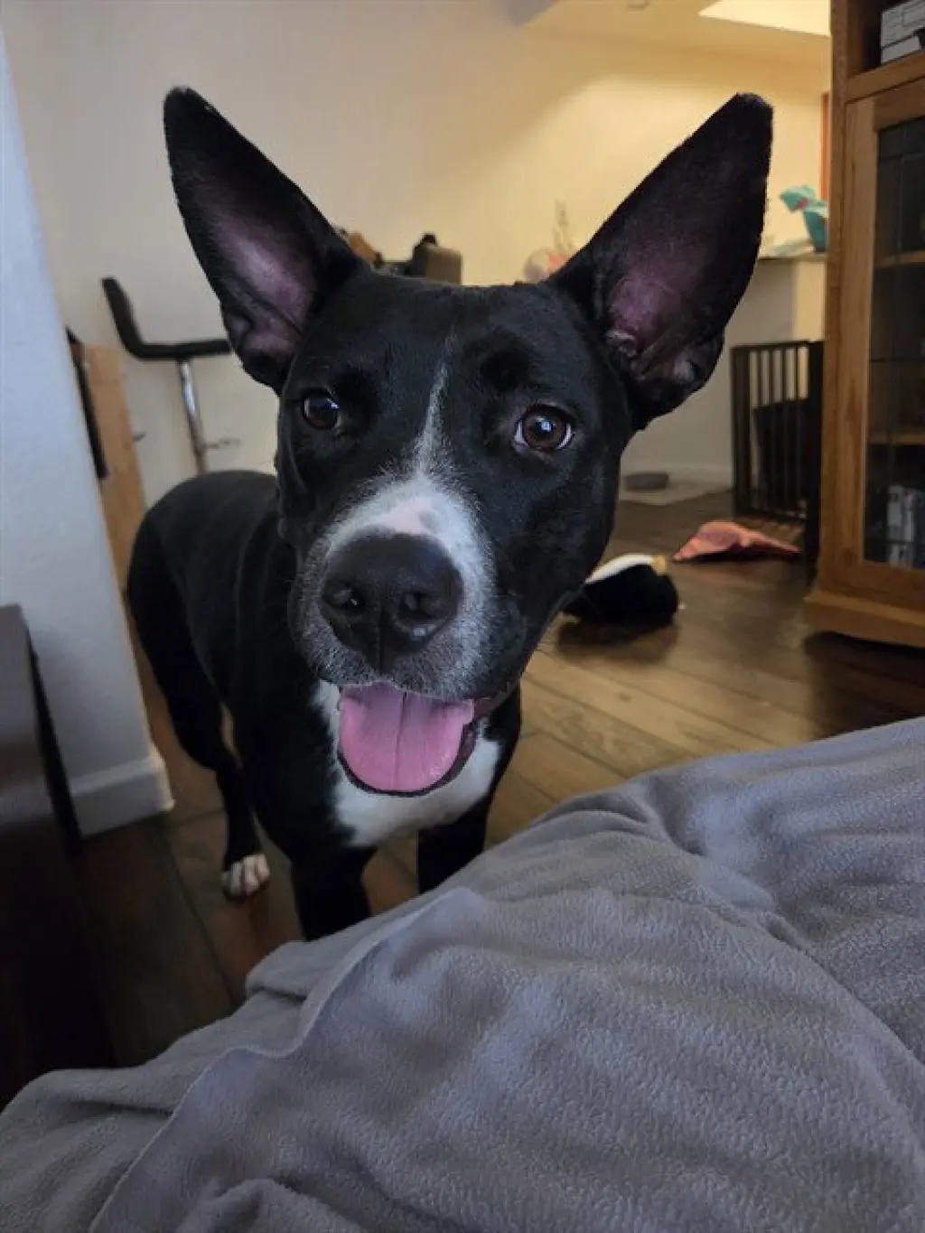 PEPPER