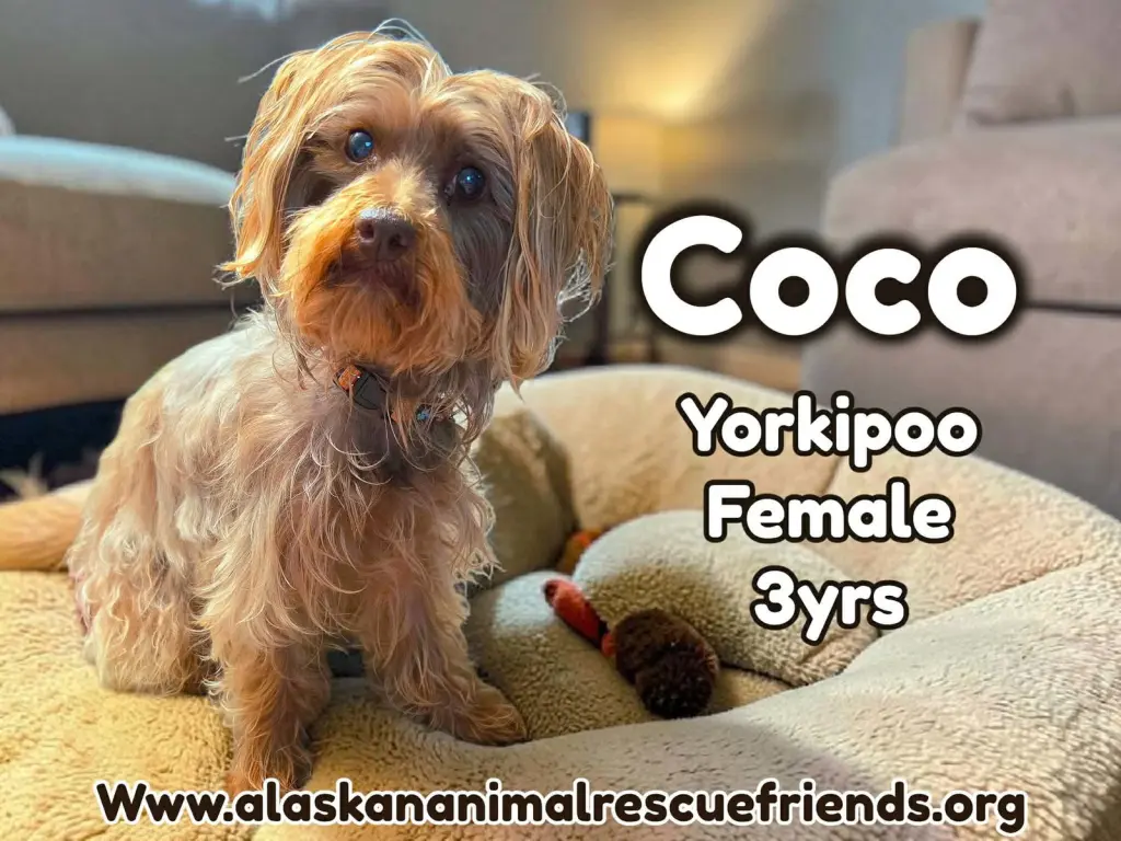 Coco