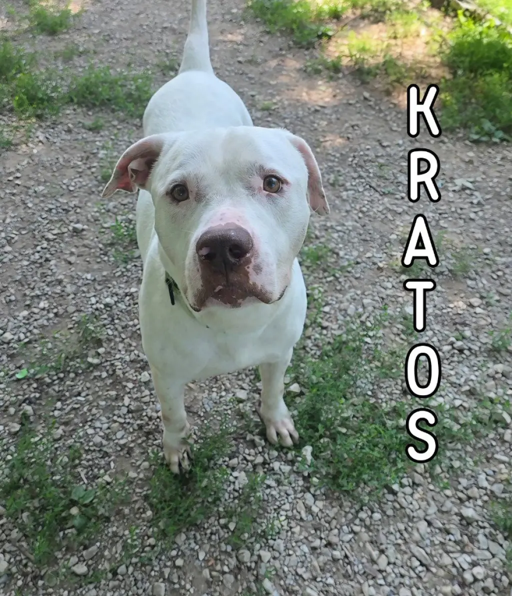 Kratos