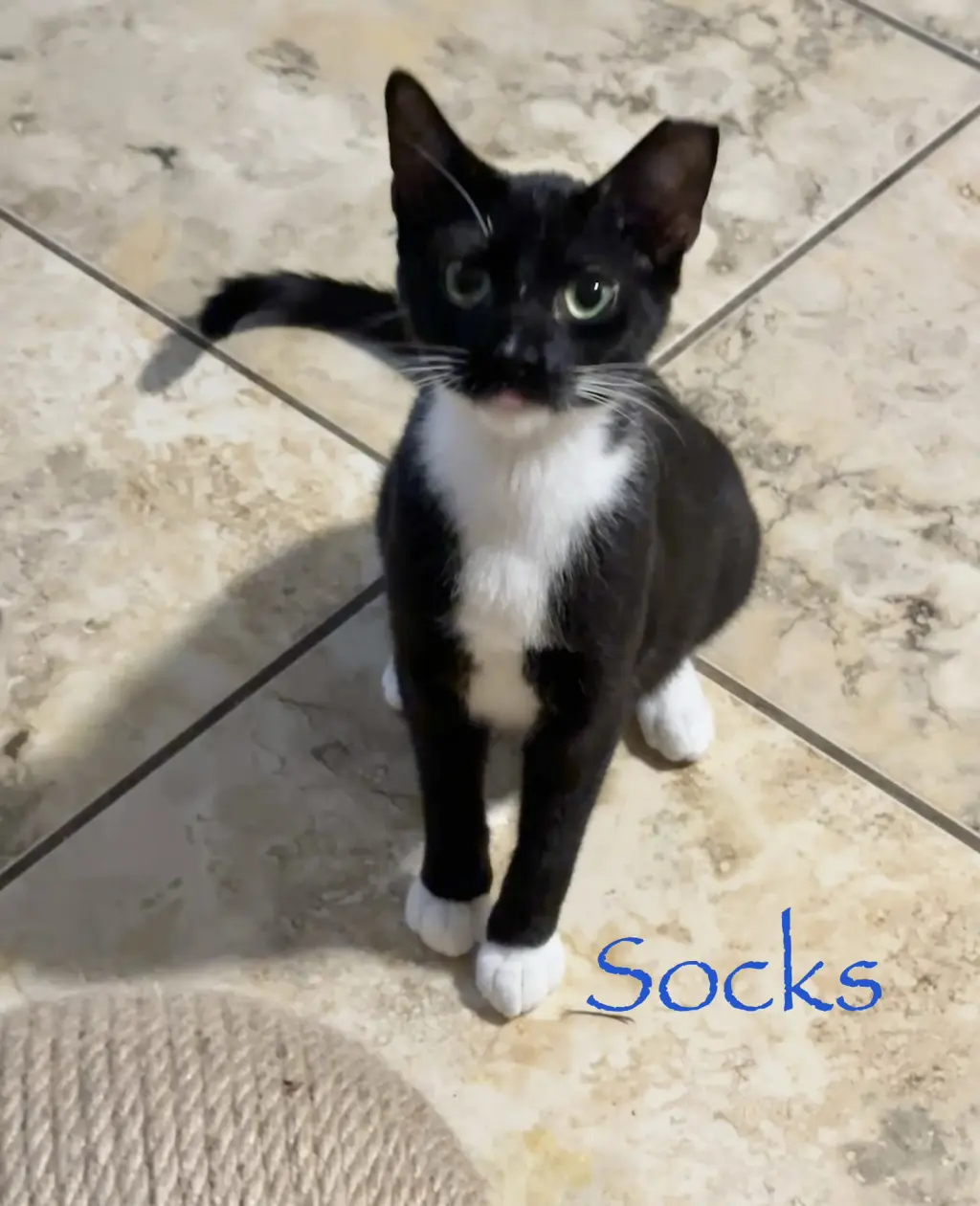 Socks