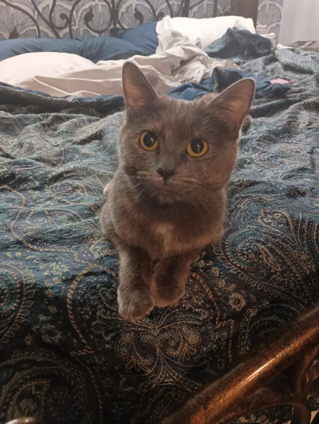 Marbles