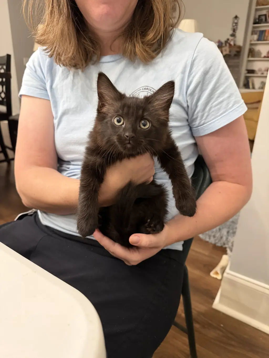 Felony (Available for pre-adoption)