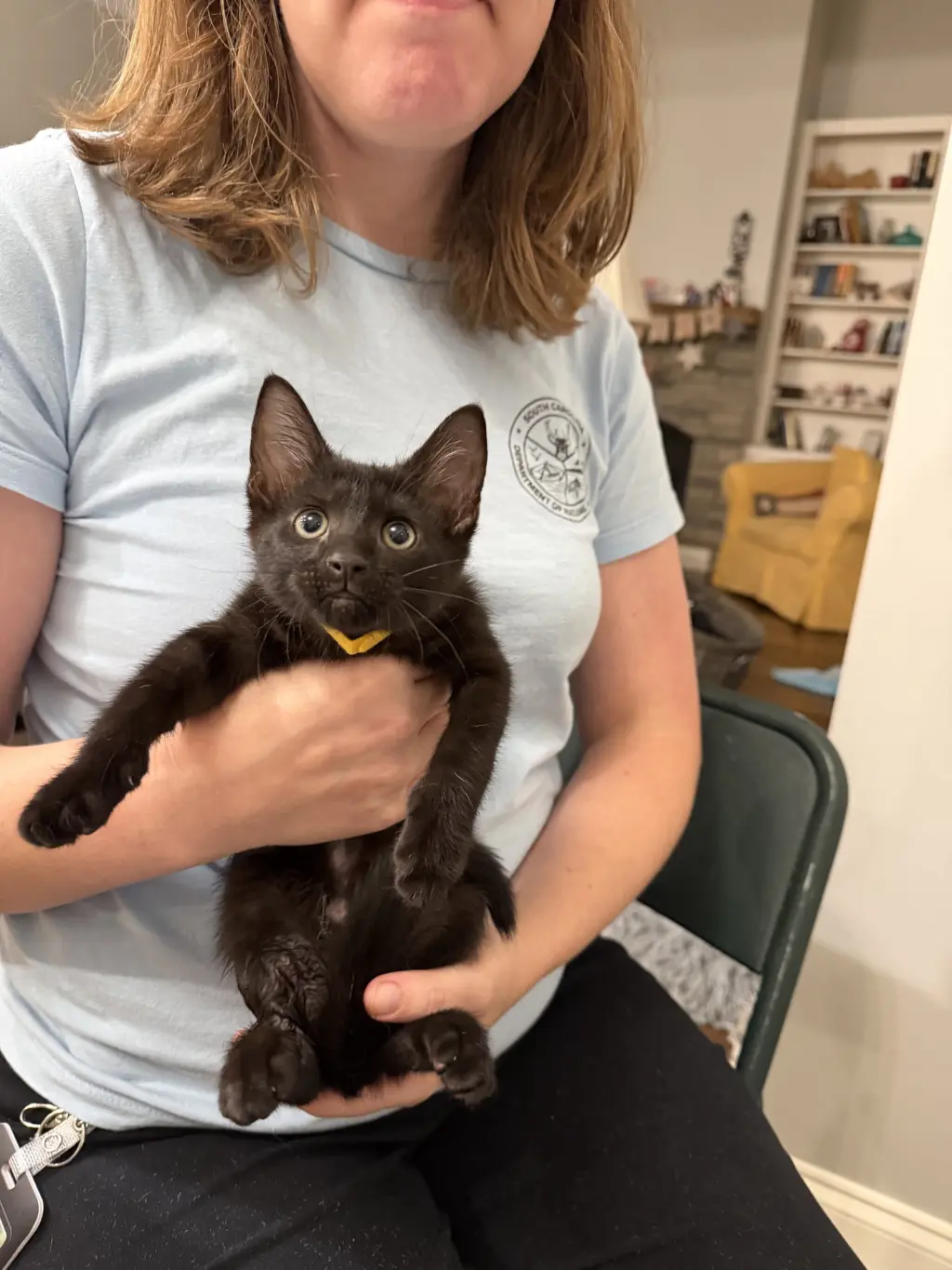 Miss Demeanor (Available for pre-adoption)
