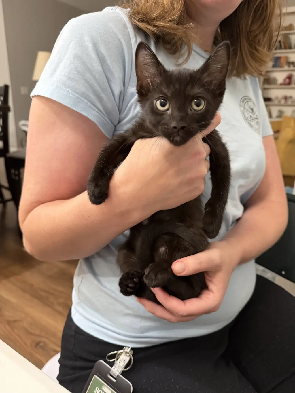 Citation (Available for pre-adoption)