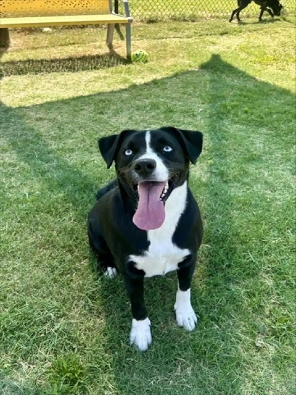 LUCY