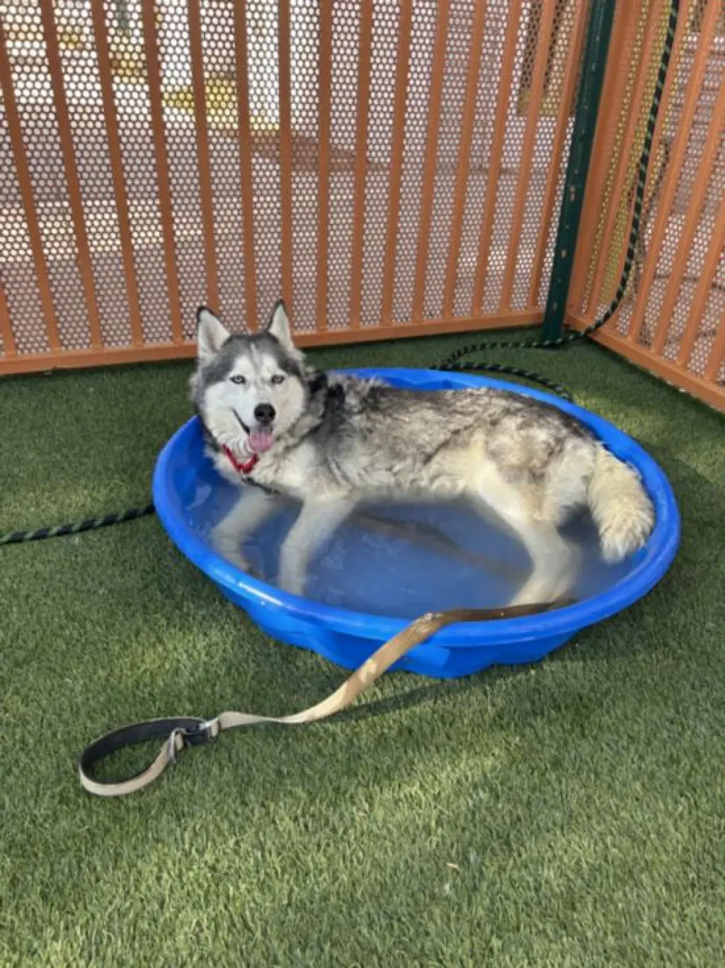NALA