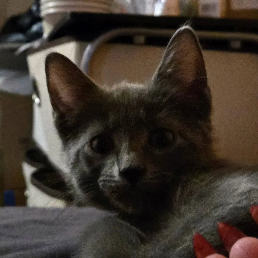 Ares