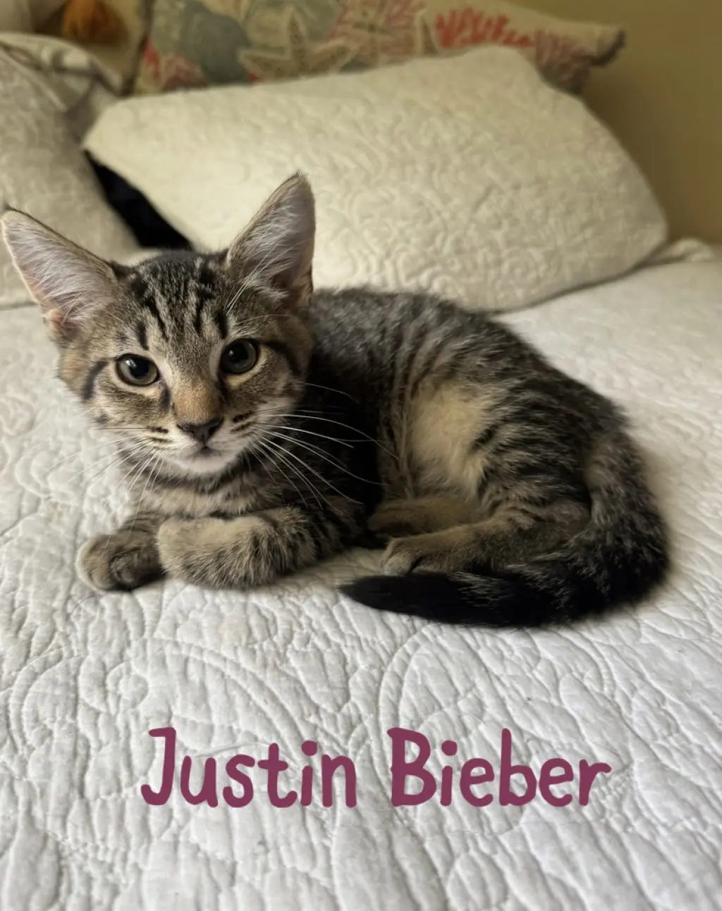 Justin Bieber