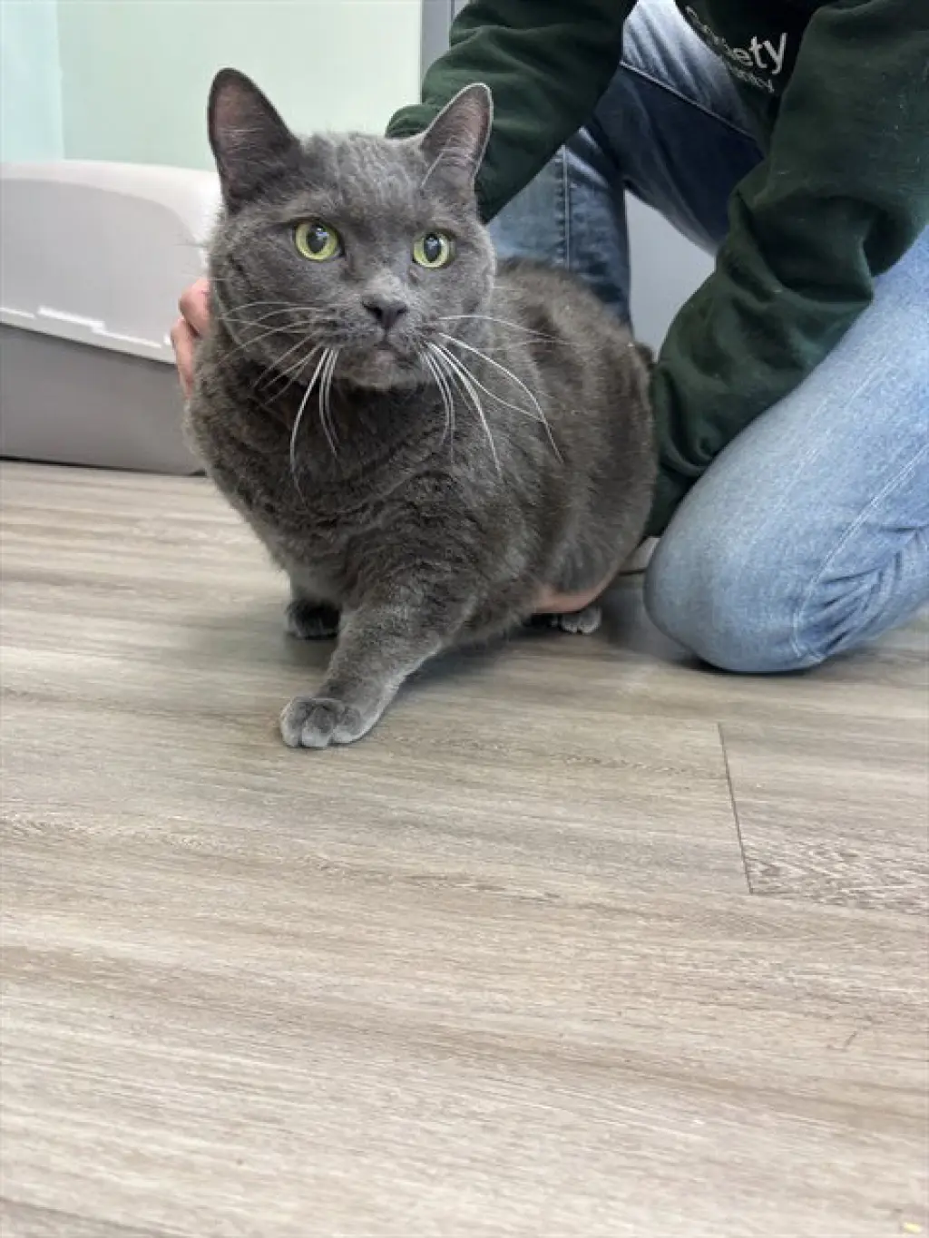 OLIVER