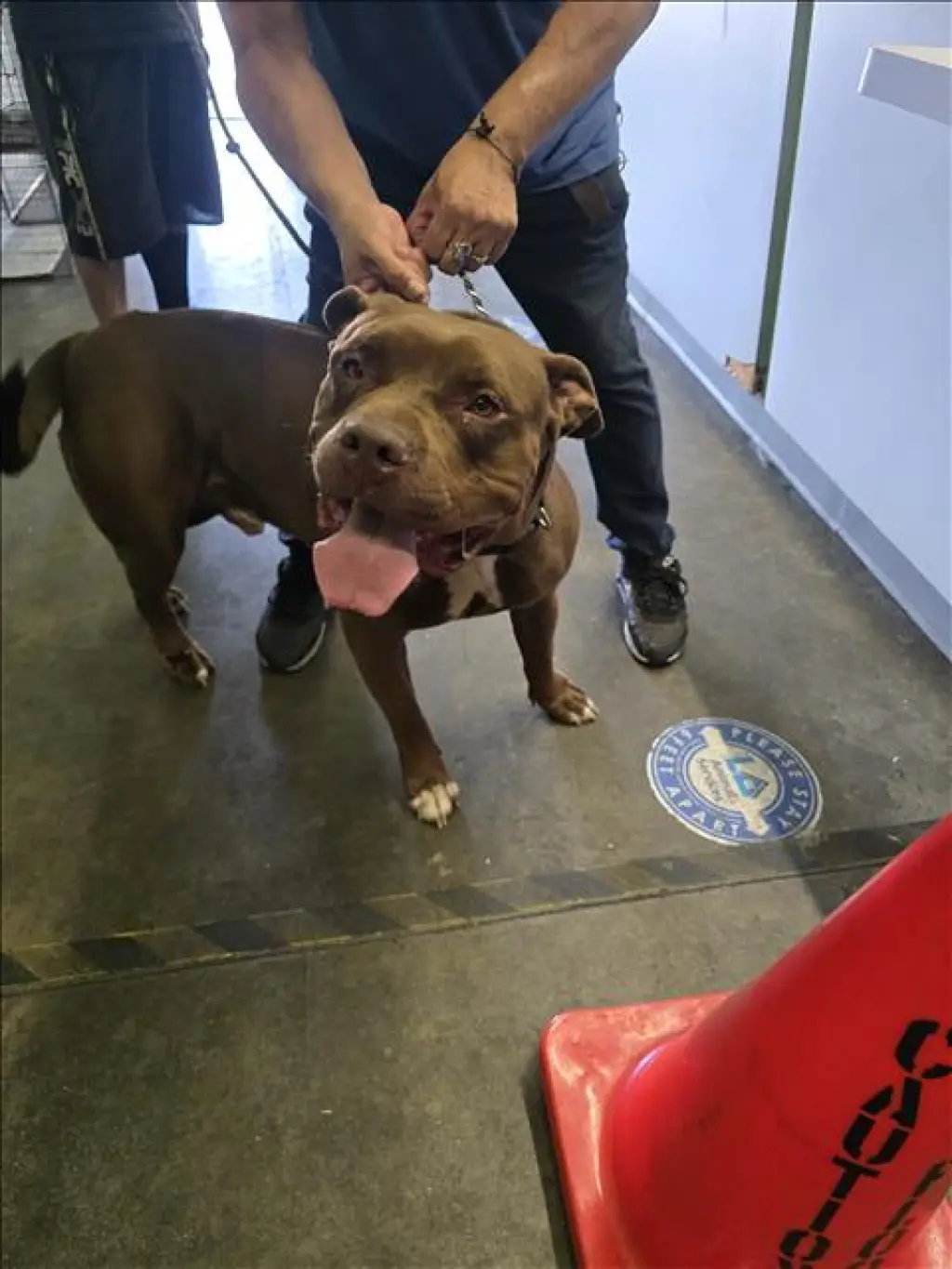 CANELO