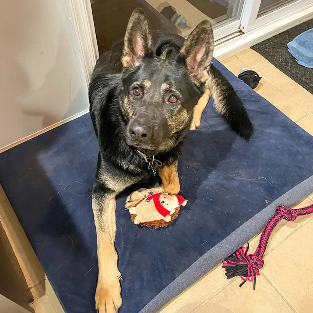 Vader