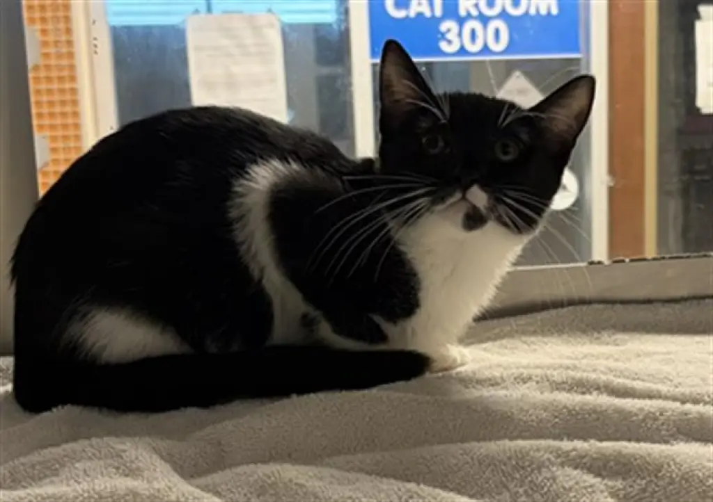 A656812