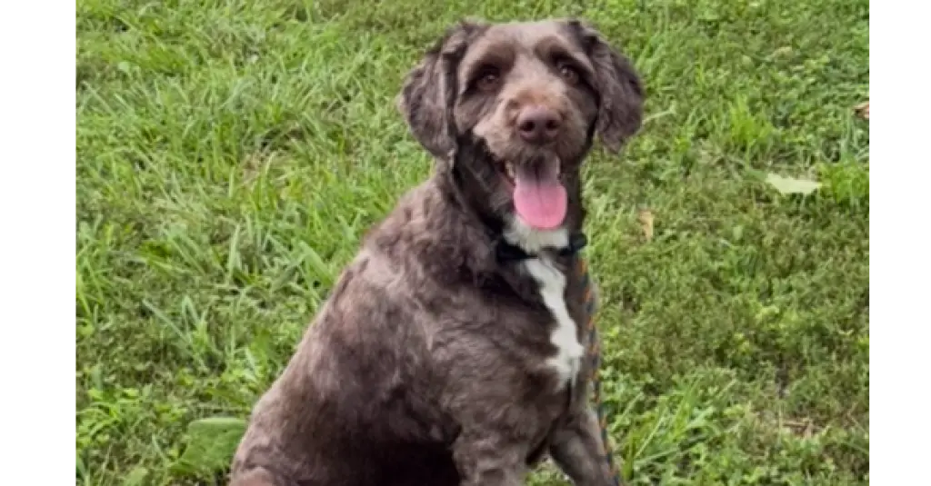 Finley DD