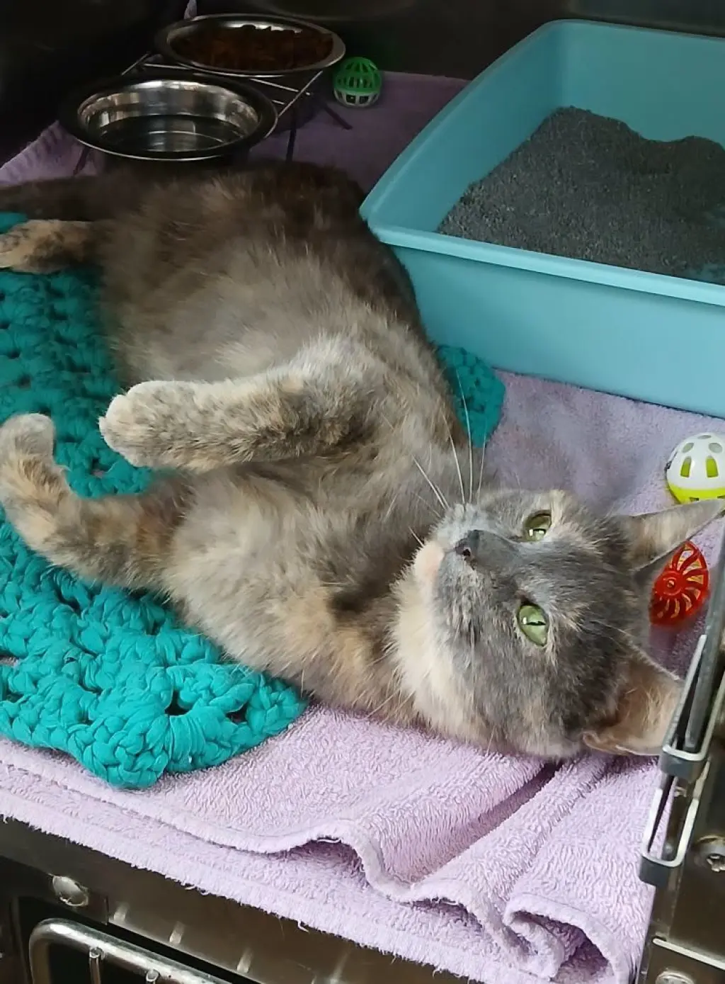 Maggie