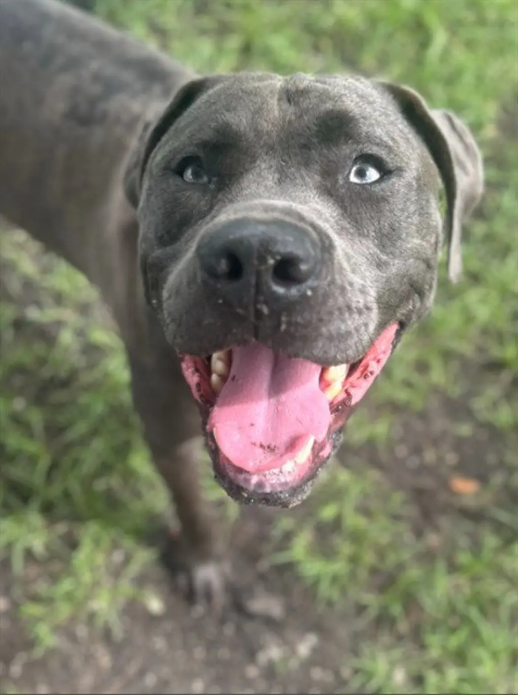 OAKLEY