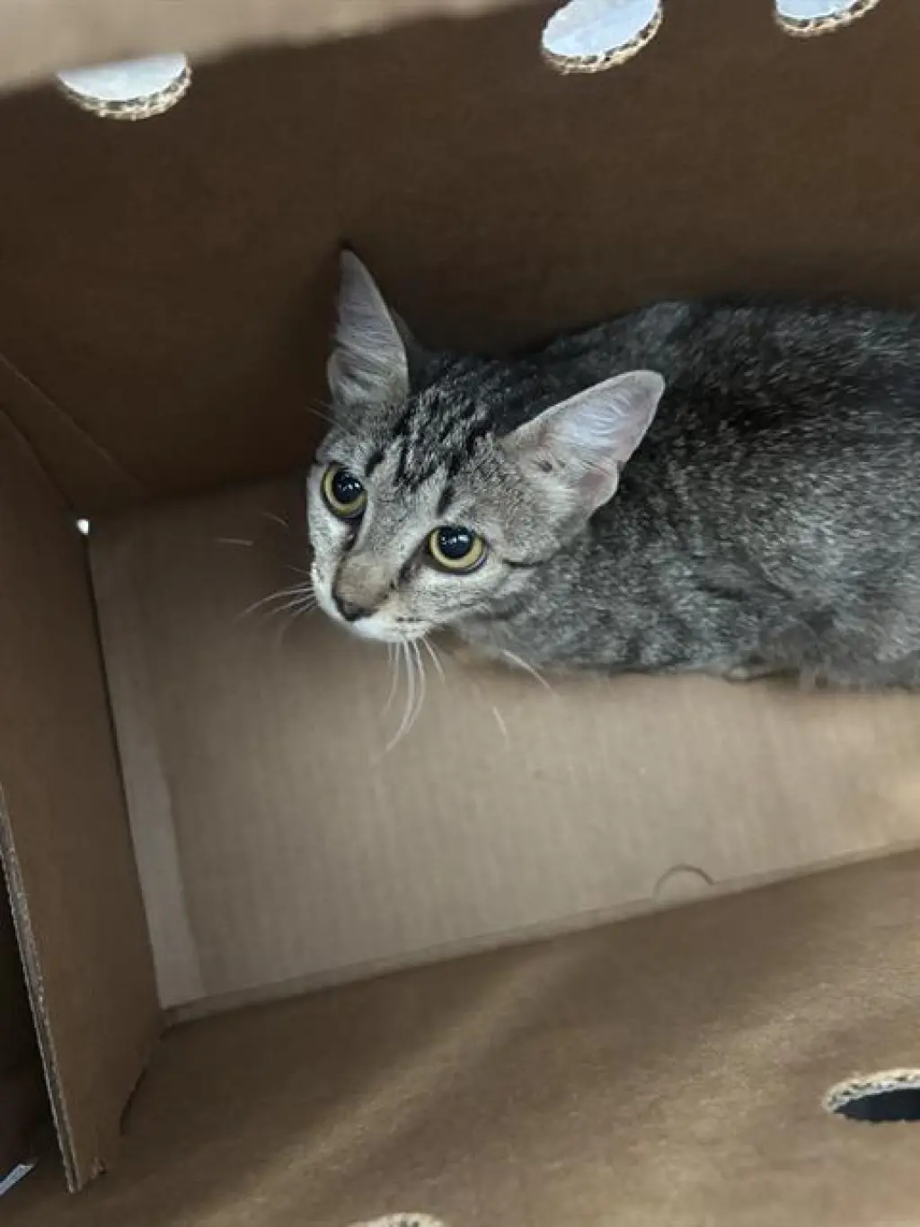 LUNA