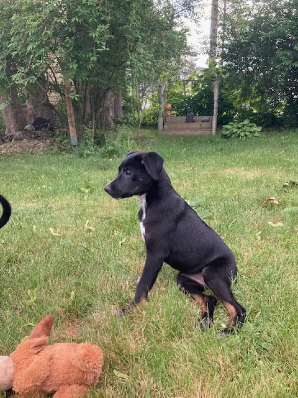 Coco