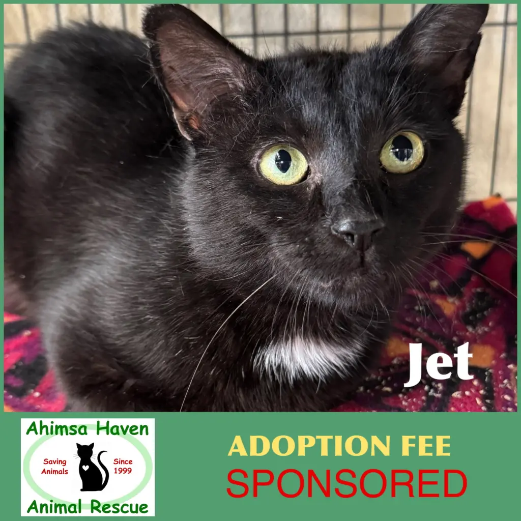 Jet